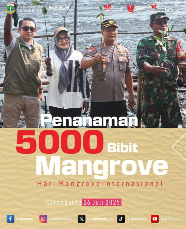 Penanaman 5000 Bibit Mangrove