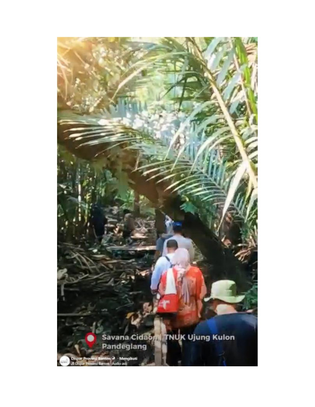 Taman Nasional Ujung Kulon.